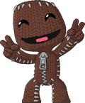 Sackboy
