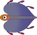 Bladderfish Plush (9in)