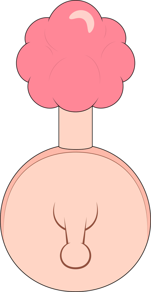 Plumbus Plush (9in)