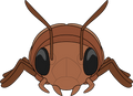 Radroach Plush (9in)